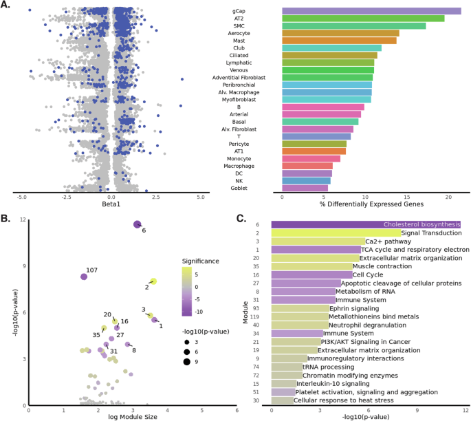 Fig. 2: Identification of transcriptional changes during lung aging.