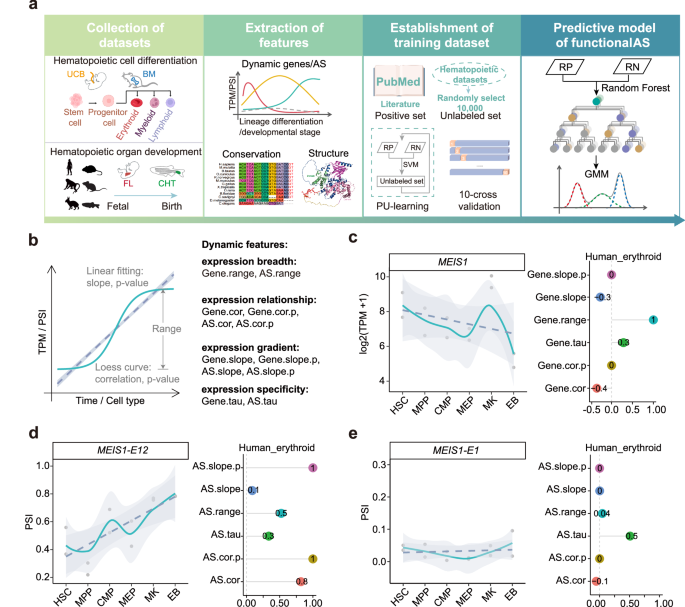 Fig. 1: The examples of dynamically regulated gene and AS events.