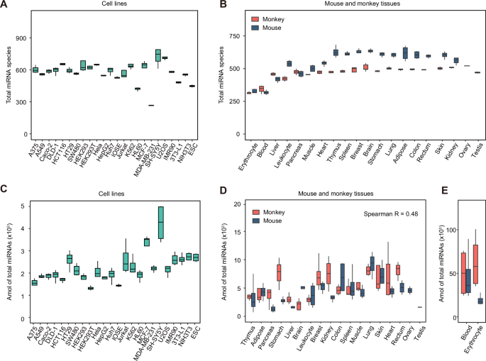 Fig. 3: Species and quantification of miRNAs across cell lines and tissues.