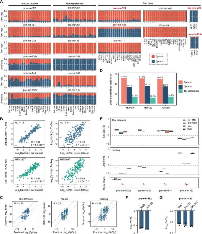 Fig. 4: Re-assessment of miRNA strand preference.