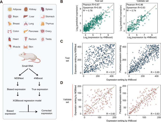 Fig. 6: Machine learning-based correction of sequencing bias.