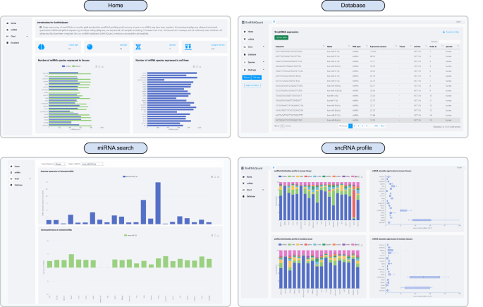 Fig. 7: Snapshot depicting the SmRNAQuant interface.