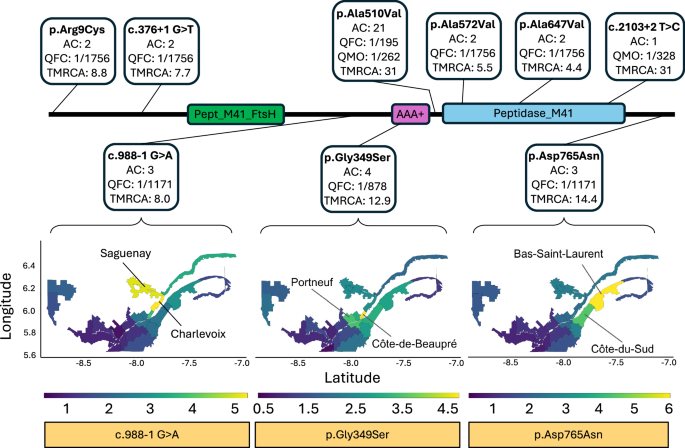 Fig. 2: Analysis of rare pathogenic variants in SPG7.