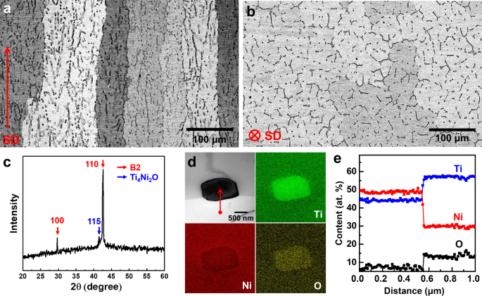 Fig. 1: Microstructural characterization of the as-prepared Ti49Ni51 alloy.