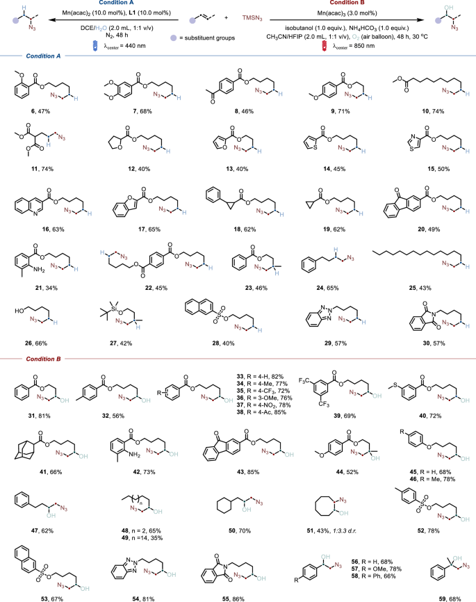 Fig. 3: Substrate scope.