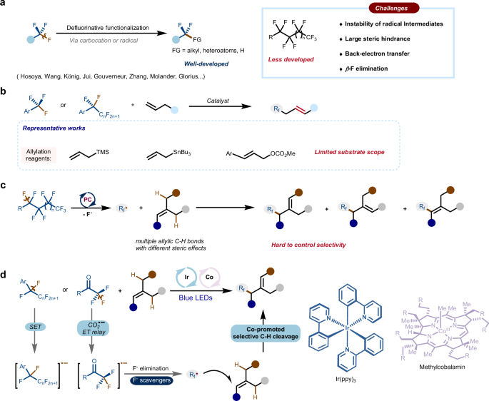 Fig. 1: Challenges in C(sp3)–F activation of polyfluoroalkyl groups and our defluoroallylation strategy.