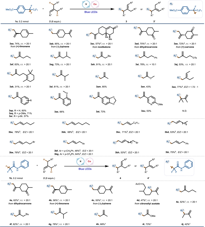 Fig. 2: Scope of alkene substrates.