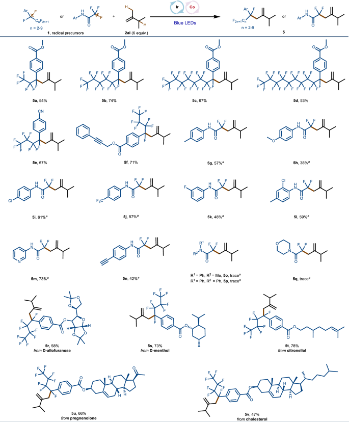Fig. 3: Scope of perfluoroalkylarenes and polyfluorinated aliphatic amides for allylic fluoroalkylation.