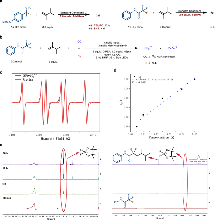 Fig. 5: Mechanistic studies.
