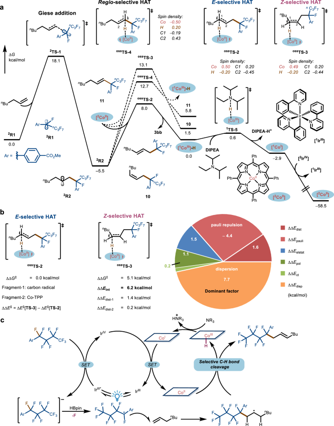 Fig. 6: DFT calculations and proposed mechanism.