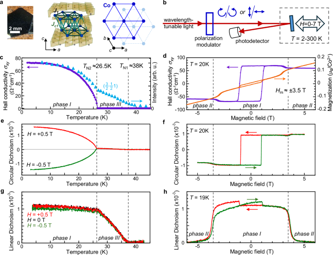 Fig. 1: Optical detection of chiral and nematic antiferromagnetic order in Co1/3TaS2.