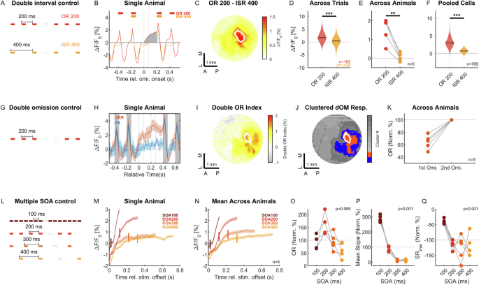 Fig. 5: Omission responses are not explained by stimulus-driven response dynamics.