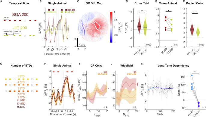 Fig. 6: Omission responses scale with the level of regularity in the stimulus sequence.
