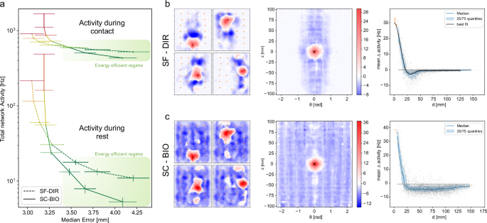 Fig. 4: Biological insights on the early processing of the somatosensory system.