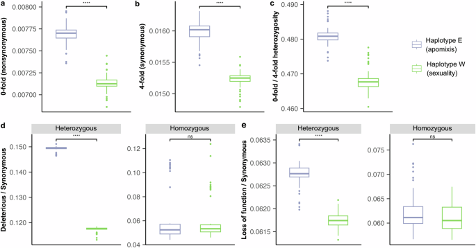 Fig. 5: Comparisons in inherited genetic load between the two haplotype genomes of the hybrid apomictic species Carya hunanensis.