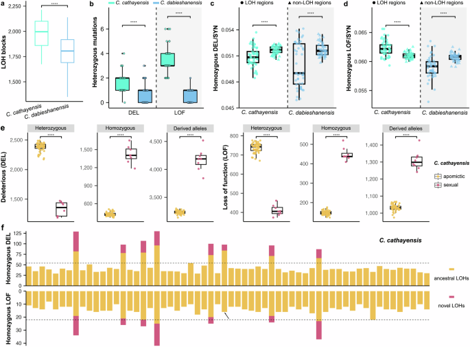 Fig. 6: Deleterious mutation accumulation associated with loss of heterozygosity (LOH) in apomictic hickories.