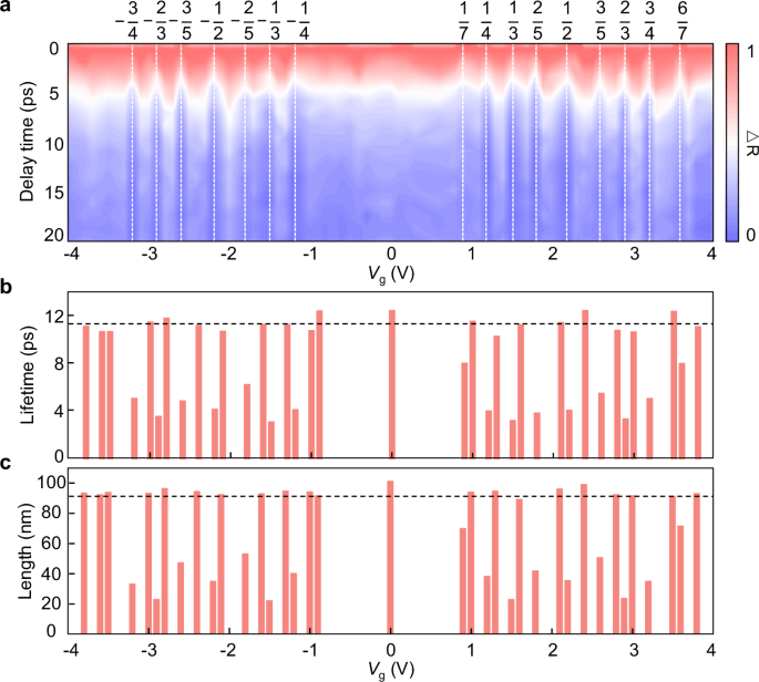 Fig. 3: Doping-dependent exciton lifetime and diffusion length.