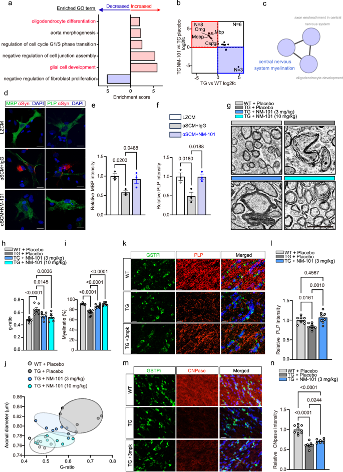 Fig. 6: Antagonizing TLR2 using NM-101 reduced dysmyelination in hA53T Tg mice.