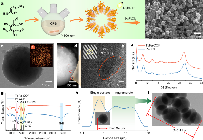Fig. 2: Structure of Pt-COF.