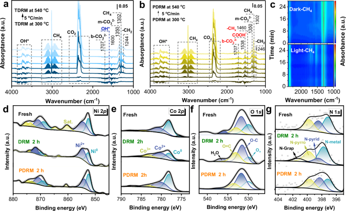 Fig. 4: In situ characterization for reaction mechanism.