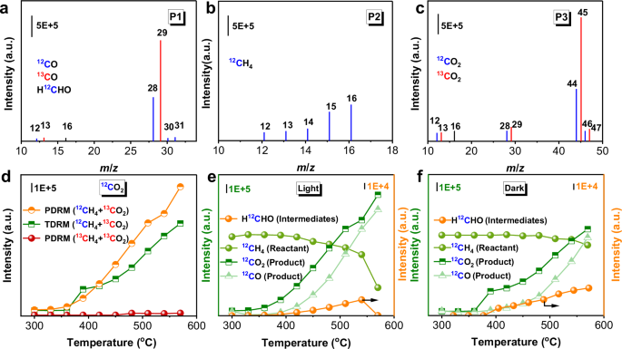 Fig. 5: 13C-labeled isotope-labeling experiments.