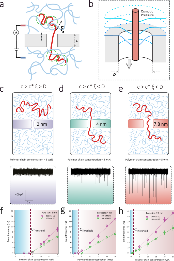 Figure 1, Cai et al., Nature Communications (2026) : entrée de polymères dans des nanopores artificiels