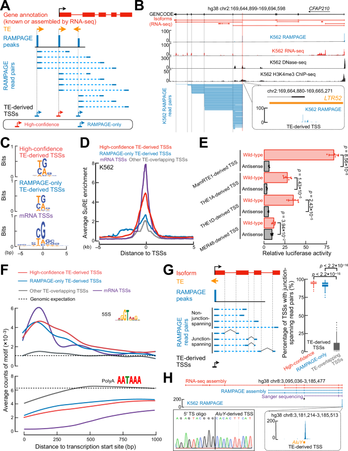 Fig. 1: Genome-wide identification of TE-derived TSSs using RAMPAGE data.