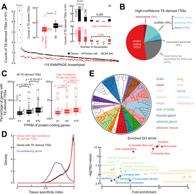 Fig. 2: Characteristics of TE-derived TSSs and their host genes.