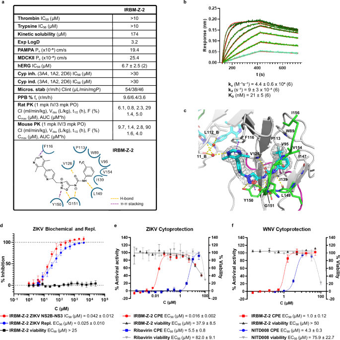 Fig. 3: IRBM-Z-2 structure, binding mode and biological characterization.