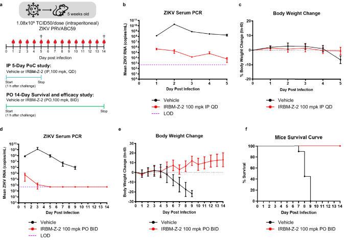 Fig. 4: In vivo efficacy of IRBM-Z-2 against ZIKV infection in AG129 mice.