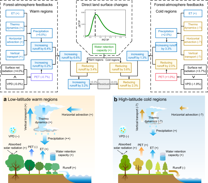 Fig. 5: Mechanisms of the contrasting runoff responses in warm regions versus cold regions due to global potential forestation.