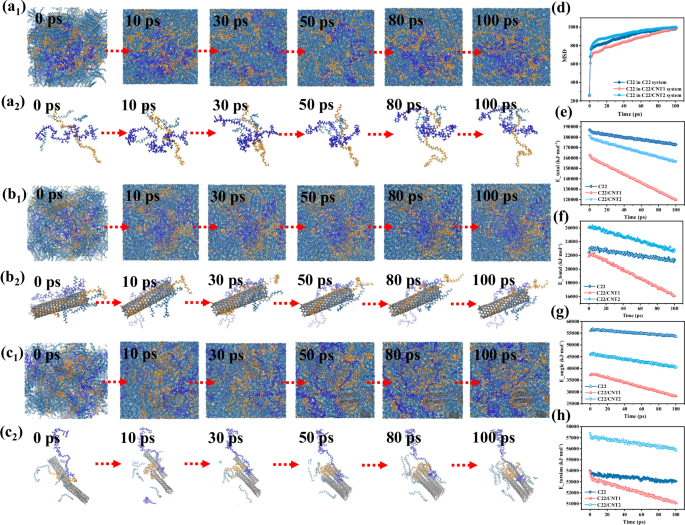 Fig. 4: MD analysis of the induced crystallization mechanism of CNTs during crystallization in the comprehensive full-component systems.