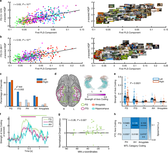 Fig. 3: Axis-based feature coding in the VTC.