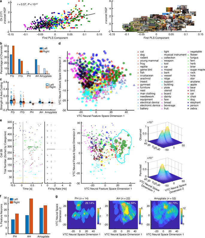 Fig. 5: Validation of axis and region coding using the Microsoft COCO stimuli.