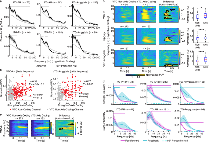 Fig. 6: Functional connectivity between the VTC and MTL.