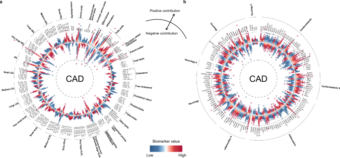 Fig. 6: Contribution of individual metabolites and proteins to cardiovascular disease risk prediction.