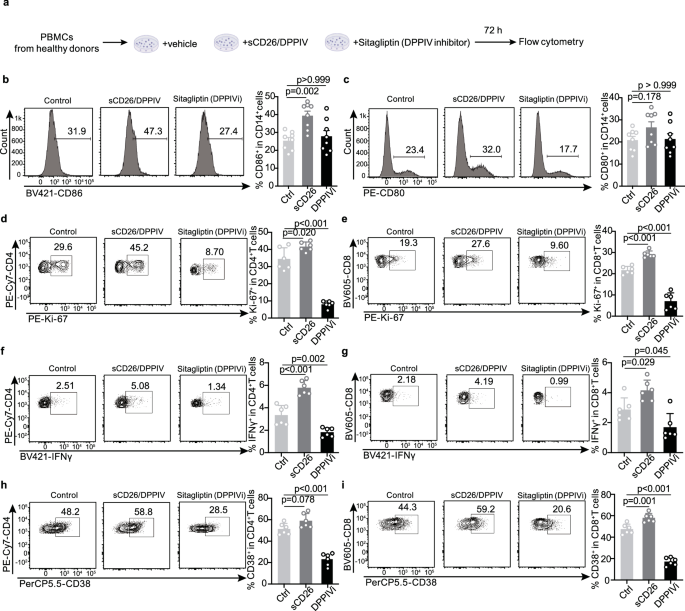 Fig. 5: sCD26/DPPIV and Sitagliptin have opposite effects on the activation, proliferation, and differentiation of T cells.