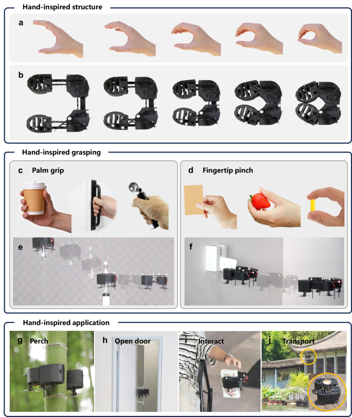 Fig. 1: Overview of the proposed HI-ARM.