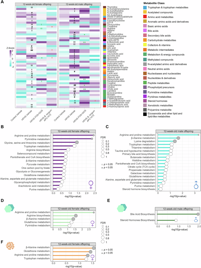Bifidobacterium longum and prebiotic interventions restore early-life high-fat/high-sugar diet-induced alterations in feeding behavior in adult mice