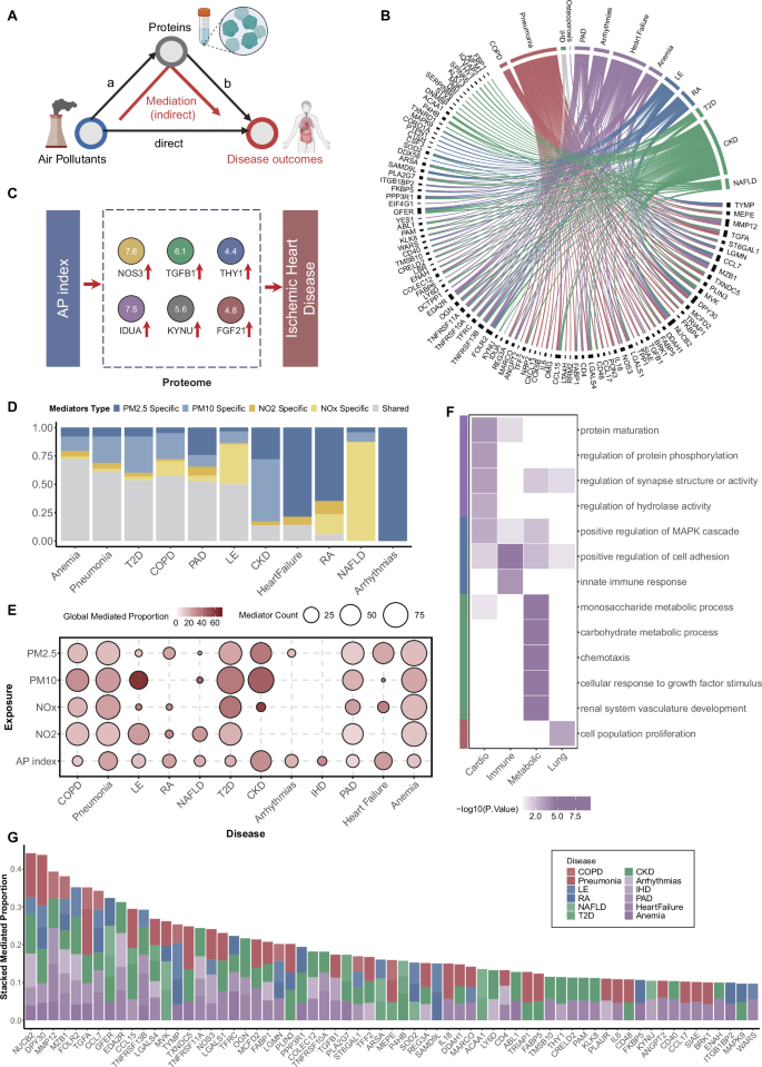 Fig. 3: Mediation analysis of air pollution, the proteome, and disease outcomes.
