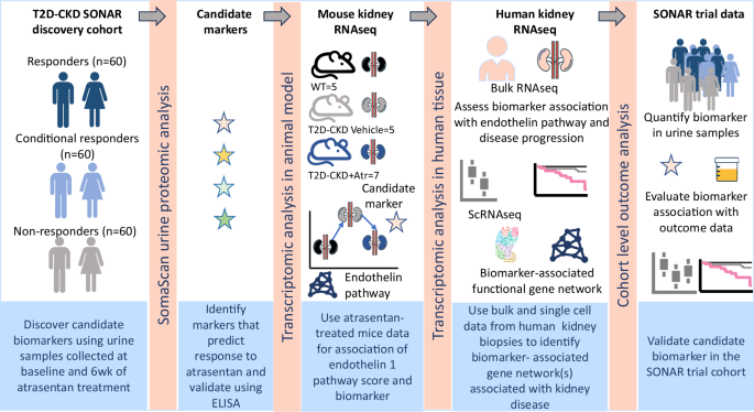 Fig. 1: Overview of Study design.