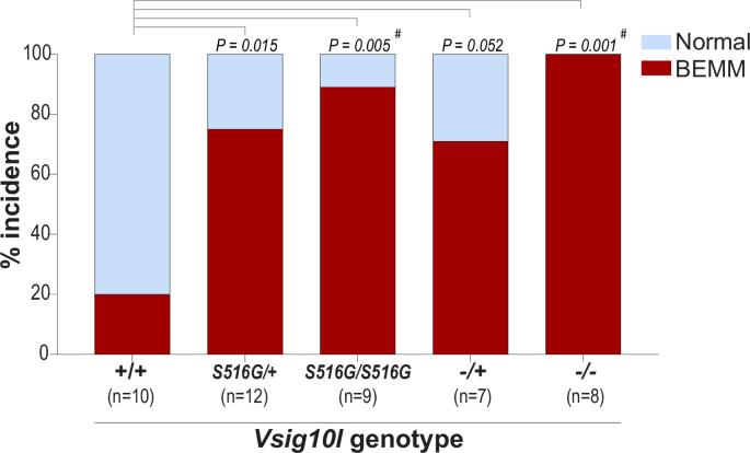 Fig. 4: Augmentation of Barrett’s-like Mucinous Metaplasia (BEMM) at the SQ-columnar junction in Vsig10l-mutant mice.