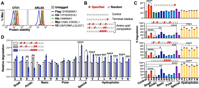 Fig. 4: Characterization of the impact of C-terminal amino acid composition and arrangement on protein stability using a random peptide platform.