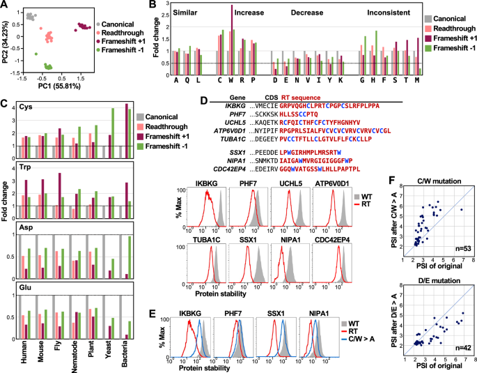 Fig. 6: Cysteine and tryptophan enrichment promotes degradation of proteins with RT and frameshift extensions.