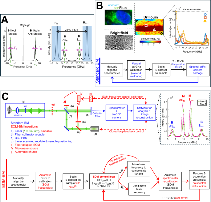 Fig. 1: Implementation of an Electro-Optic Modulator (EOM) source in an existing standard Brillouin Microscope (BM).