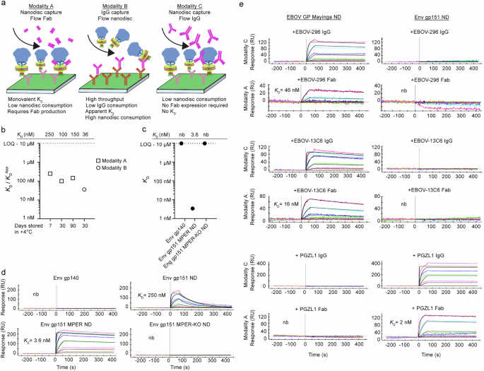 Fig. 3: Different SPR modalities and kinetic analyses of GP nanodiscs assembled with DOPC lipids.
