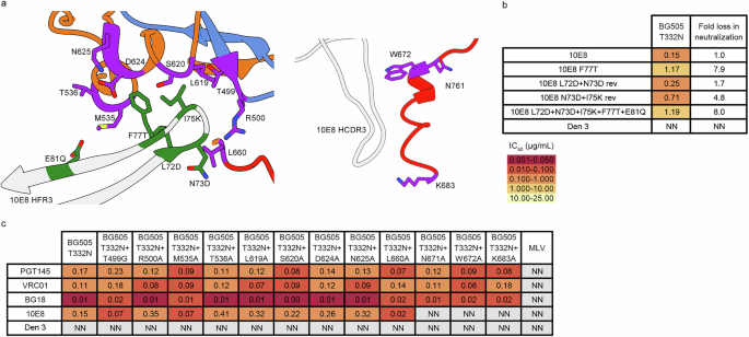 Fig. 7: Effect of 10E8 epitope and paratope mutations on HIV pseudovirus neutralization.