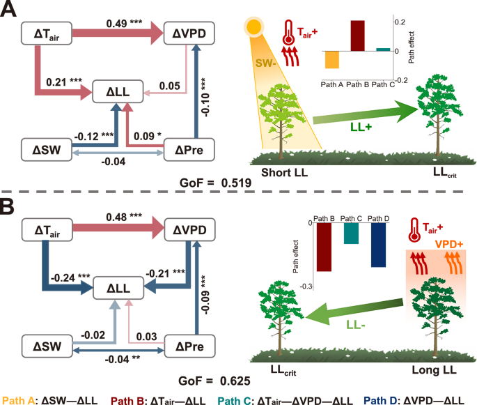 Fig. 2: Climatic driving mechanisms for the contrasting changes in leaf longevity (LL) across pantropical moist forests.
