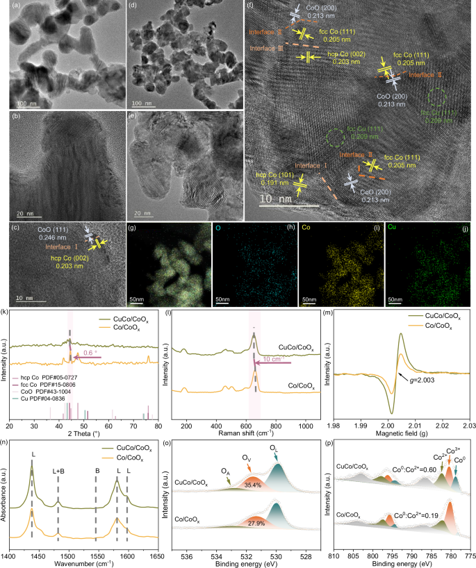 Fig. 3: Catalyst characterization.