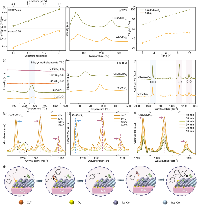 Fig. 5: Catalytic mechanism.